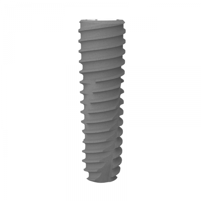 DMR Implant System