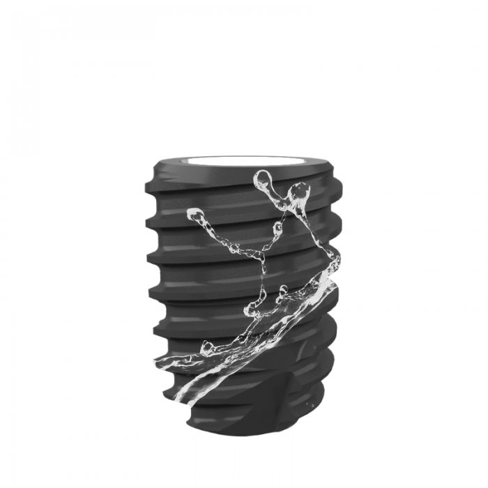 DMS Implant System