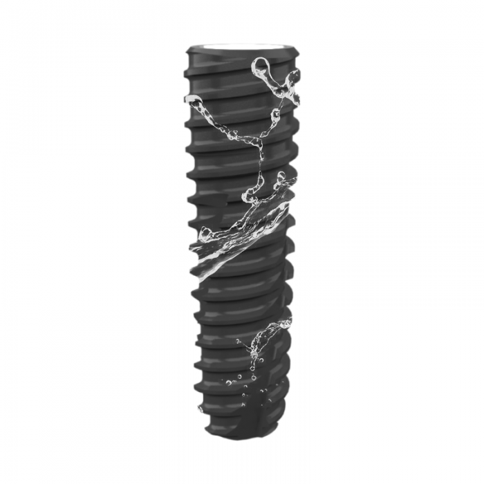 DMR Implant System