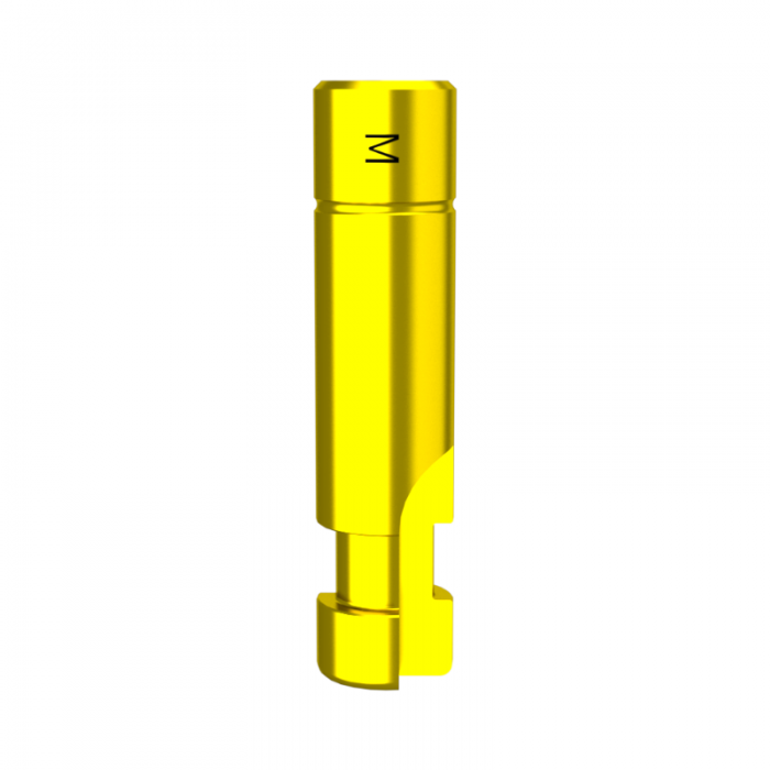 DMR Implant System